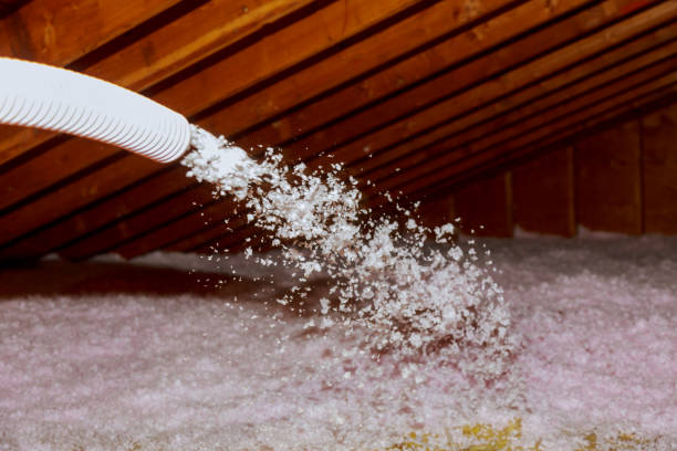 Best Commercial Insulation in Cohoes, NY